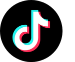 TikTok Icon